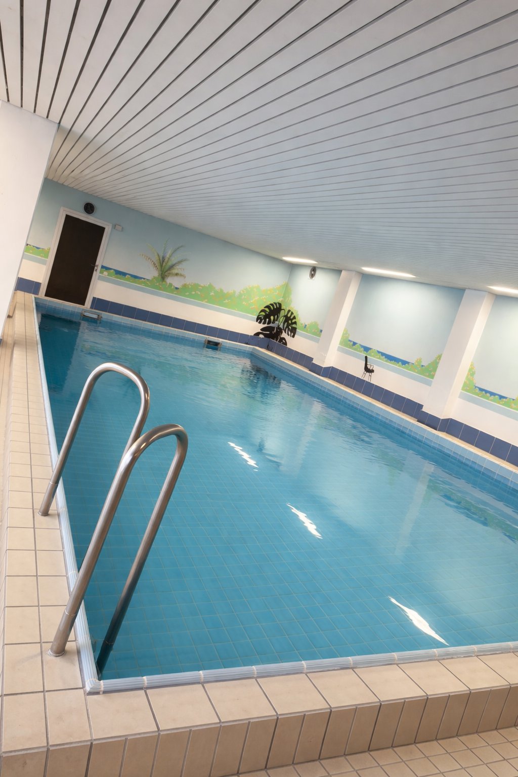 Schwimmbad mit Poolleiter